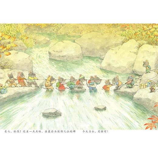 14只老鼠大搬家 商品图1