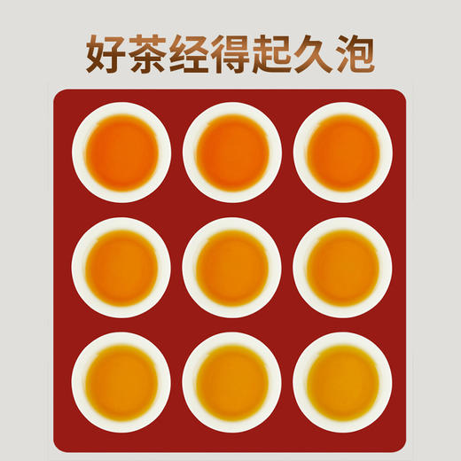 特尊 2023新茶小种红茶福建浓香功夫红茶250g 商品图5