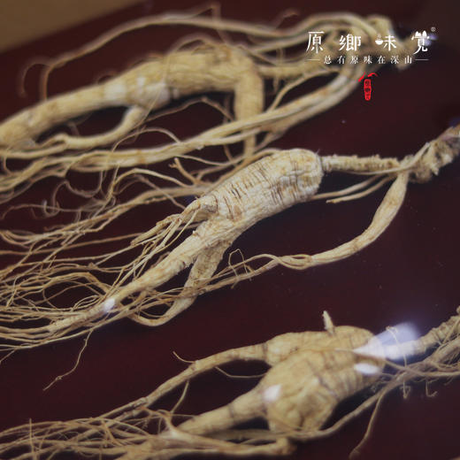 林下野山干参/干人参（成都仓库-顺丰快递）｜多种规格，来自通化集安，生产者：刘春显 商品图8