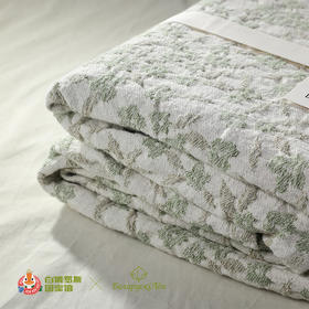 白俄罗斯亚麻盖毯125*200cm