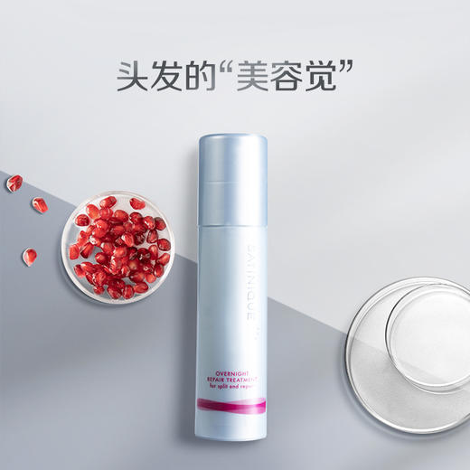 安利丝婷@夜间修护精华乳100g 商品图0