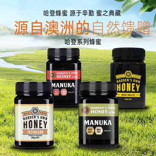 澳大利亚进口哈登蜂蜜500g 商品图0