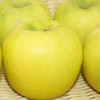【瑞雪苹果】一口吃出百花香    陕西洛川苹果水果新品种瑞雪苹果12枚大果礼盒装带手提袋 商品缩略图3