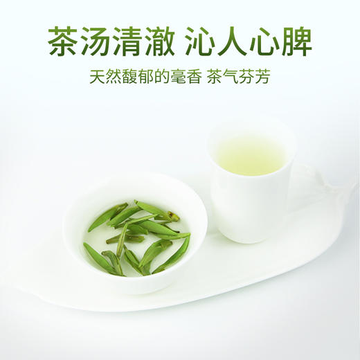 2026新茶 雀舌头春头采绿茶明前春茶四川精品特级嫩芽贡芽200g 商品图5