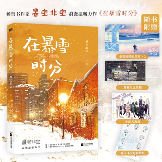 在暴雪时分 商品图0