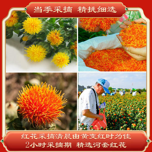 玉衡仿野生红花 女士养生佳品 内蒙古道地产区 20g/120g瓶装 商品图2