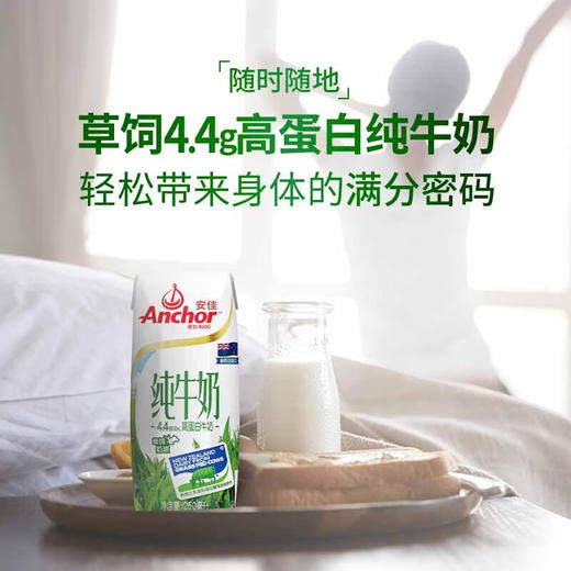 (百万补贴) 安佳4.4高蛋白纯牛奶250ml 商品图1
