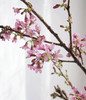 【向你微笑】国产樱花  粉色  约2-3枝/扎 商品缩略图4