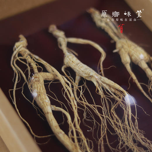 林下野山干参/干人参（成都仓库-顺丰快递）｜多种规格，来自通化集安，生产者：刘春显 商品图9