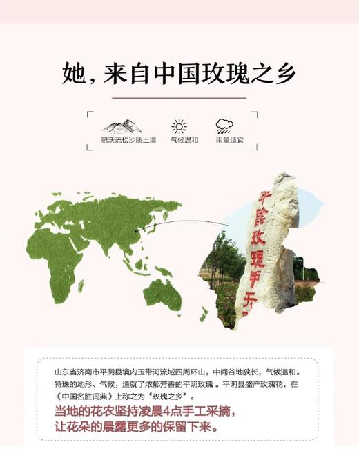 来自中国玫瑰之乡——1300多年种植历史山东平阴重瓣玫瑰纯露/天Ran玫瑰水 成分单一安筌 不含Ren何化学添加剂、防腐剂，可做爽肤水、喷雾、香薰、面膜、芳香疗法 助力花粉以油养肤！ 商品图3