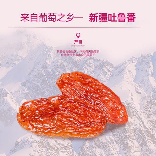 玫瑰香葡萄干120g 商品图5