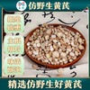 玉衡仿野生黄芪 黄芪养生茶 内蒙古道地产区 100g/110g/350g瓶装 商品缩略图1