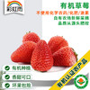 有机草莓400g/盒香甜可口京津冀满百包邮 商品缩略图0