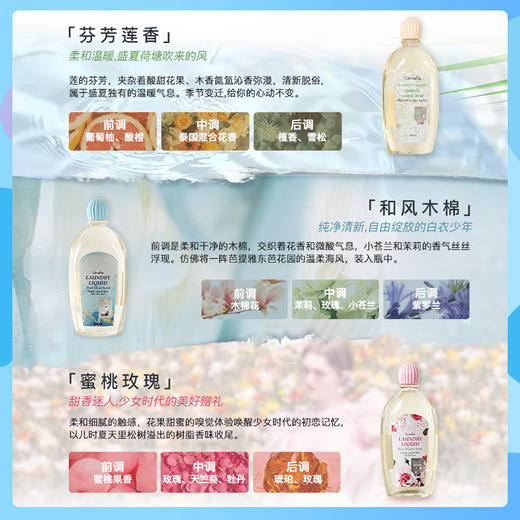 泰国芝芙莲内衣洗衣液男女通用内衣裤清洗污渍洗衣液 gao效yi菌 温和不伤手500ml/瓶 商品图1