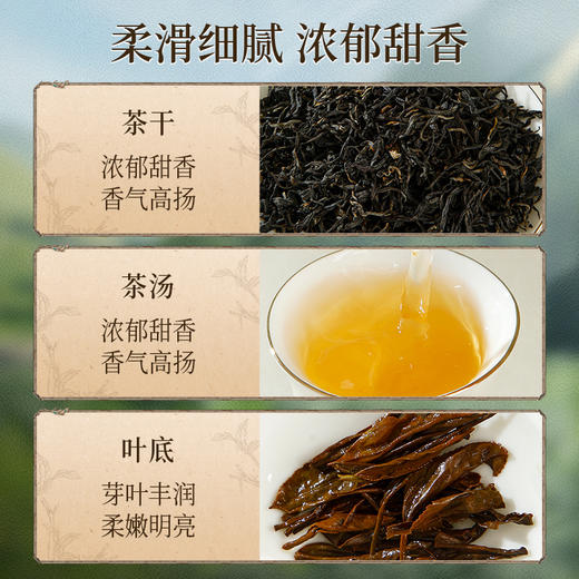 正山堂巴东红 硒镜云枞礼盒装 特级红茶正宗骏眉中国茶叶送礼180g 商品图4