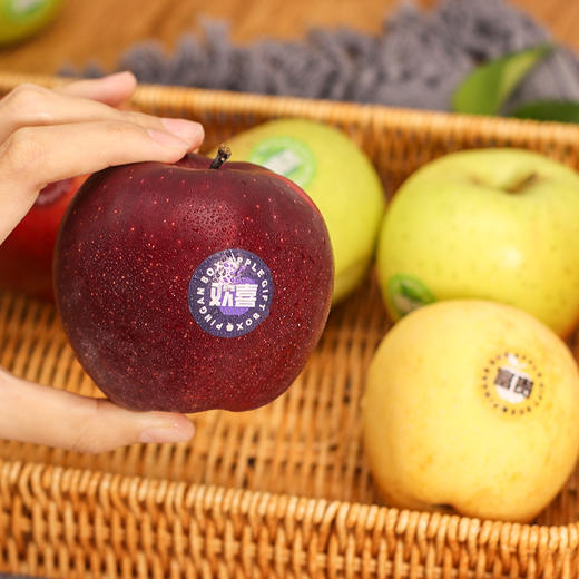 苹果礼盒 多品种苹果： 黑卡、青森、黄金维纳斯、瑞阳、红富士 三拼/四拼礼盒（云南昭通中通发货） 商品图2