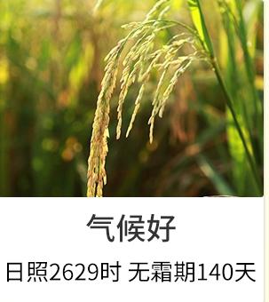 盛浪米道稻花香五常大米5kg 商品图2