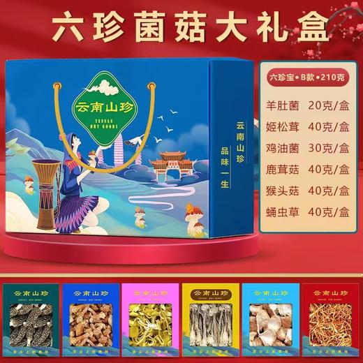 云南高原生态山珍礼盒 （六珍干菌组合B）210克    羊肚菌20克*1  鹿茸菇40克*1 蛹虫草40克*1 猴头菇40克*1  鸡油菌30克*1  姬松茸40克*1 商品图0