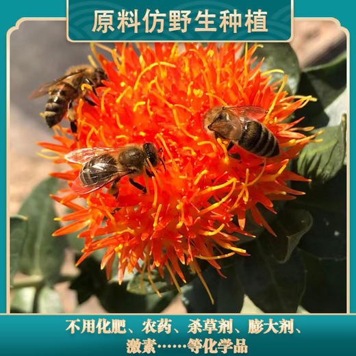 玉衡仿野生养生茶礼盒加强版 黄芪枸杞红花肉苁蓉 送礼佳品 商品图2