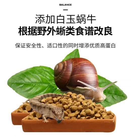 蓝舌石龙子成年粮 幼年粮 LIFELINE命脉 商品图5