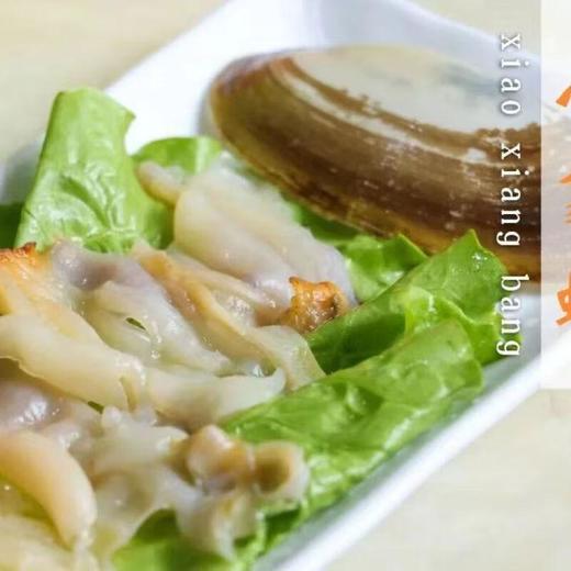 小象蚌/个（5-6头） 商品图4