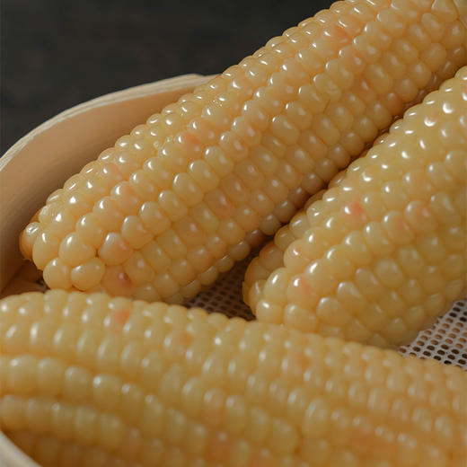 西双版纳白糯玉米 老品种玉米 轻食粗粮 口感软嫩清甜不失糯香 胞衣轻薄细腻 肉质饱满Q弹 基本没有渣 老少皆宜的健康粗粮 商品图5