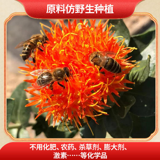 玉衡养生茶礼盒 冲泡煲汤 黄芪枸杞子红花仿野生种植 商品图3