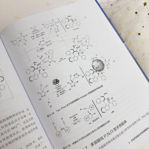 手性膦配体合成及应用--磷科学前沿与技术丛书 商品图5