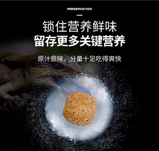 蓝舌石龙子成年粮 幼年粮 LIFELINE命脉 商品图6