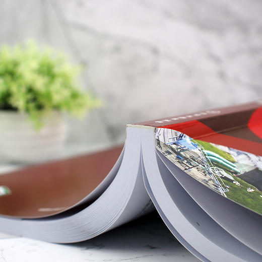 污水化学处理技术与设备--污水处理工艺与设备丛书 商品图8