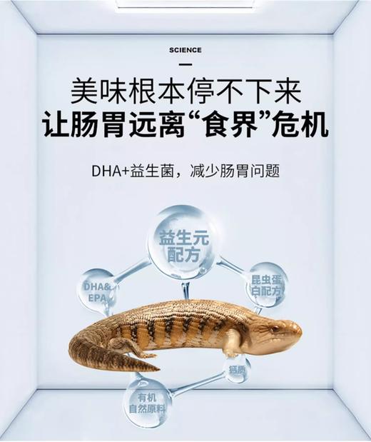 蓝舌石龙子成年粮 幼年粮 LIFELINE命脉 商品图7