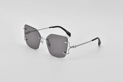 FOR ART'S SAKE STARLIT - grey 商品图1