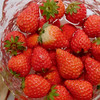 【包邮】有机草莓400g*2盒/4盒装有机认证水果 商品缩略图4