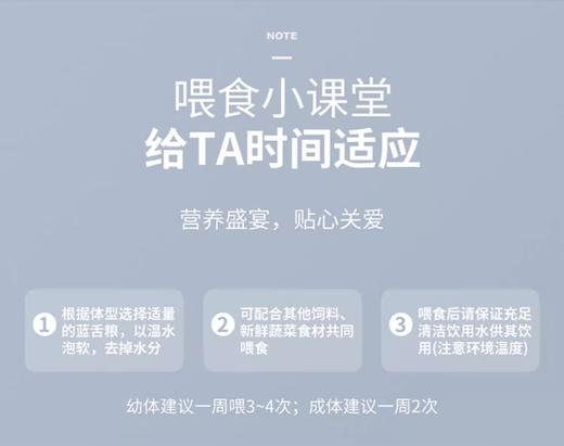 蓝舌石龙子成年粮 幼年粮 LIFELINE命脉 商品图11