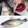 青鲈鱼 约1-1.2斤 超重需补差价 /条 /条 商品缩略图1