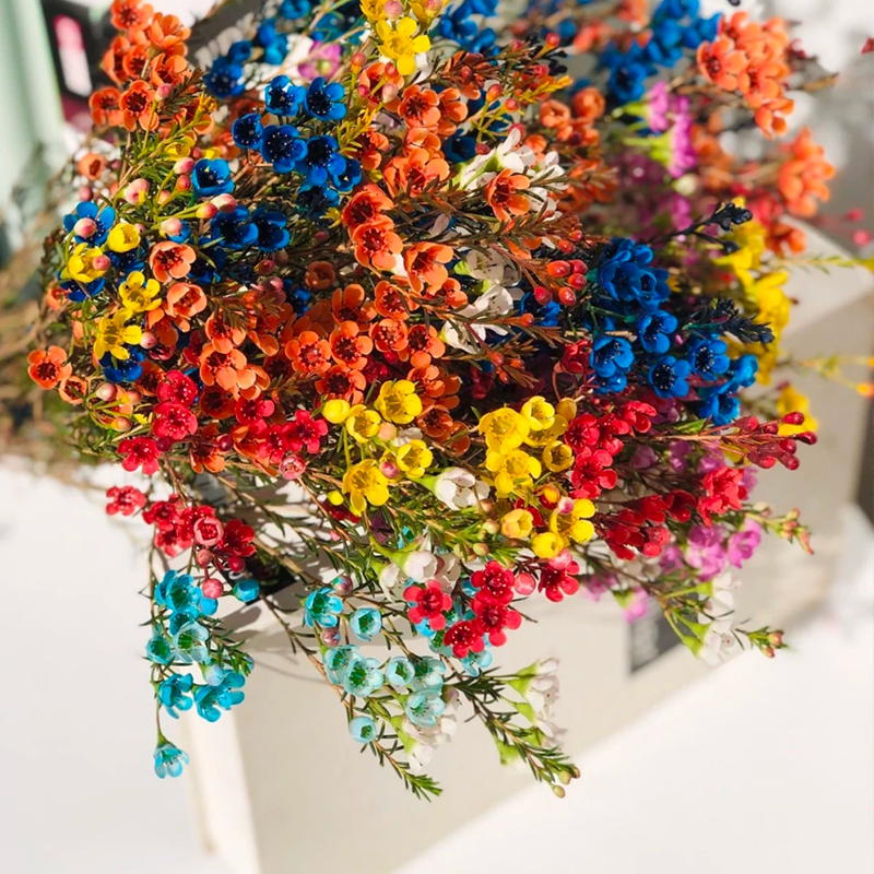 平头腊梅  中花长款   若干支/扎 颜色深浅略有差异 以实物为准 云南基地发货 （价格已包含包装费用） 运费以实际为准，多退少补。