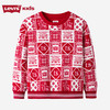 LEVIS 春 大童小童 儿童童装卫衣 LVG-FW-K427 商品缩略图1