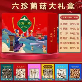 云南高原生态山珍礼盒 （六珍干菌组合C）190克 羊肚菌20克*1+ 竹荪10克*1+牛肝菌40克*1+雪山松茸40克*1+姬松茸40克*1+ 鹿茸菇40克*1