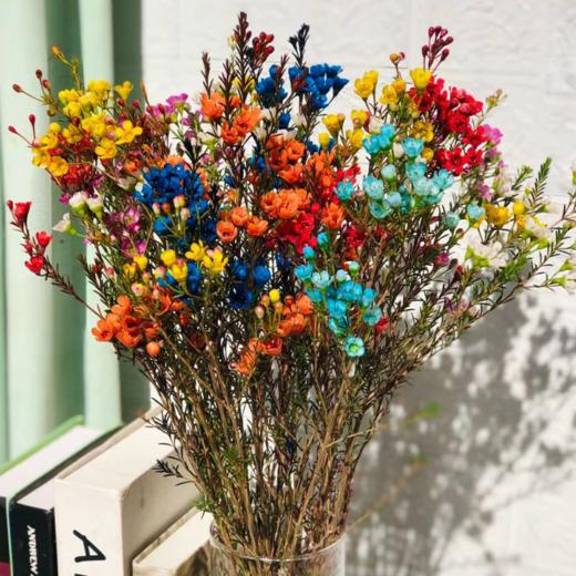 平头腊梅  中花长款   若干支/扎 颜色深浅略有差异 以实物为准 云南基地发货 （价格已包含包装费用） 运费以实际为准，多退少补。 商品图1