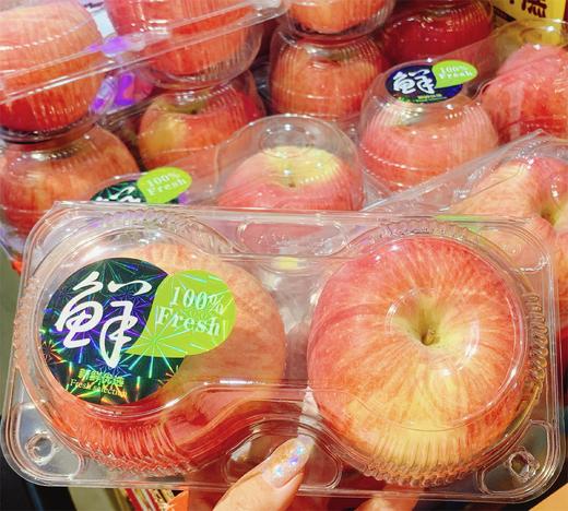 永富苹果  | 水果 商品图0