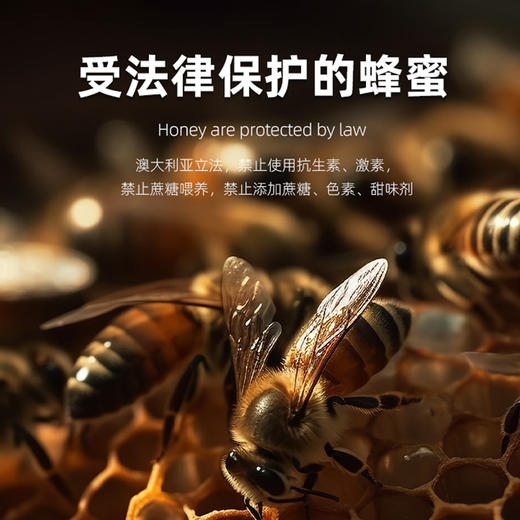 澳大利亚进口哈登蜂蜜500g 商品图4