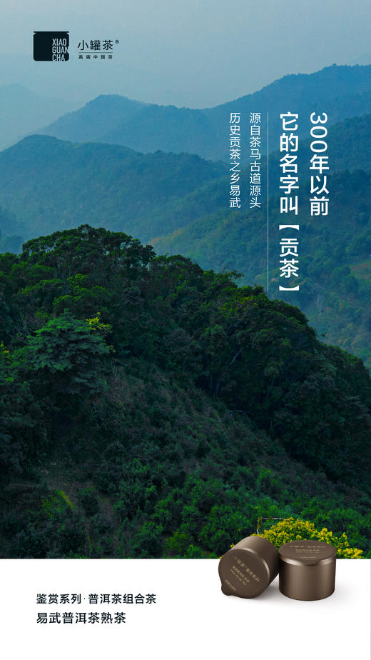 小罐茶鉴赏系列普洱茶组合茶-生普+熟普邹炳良邹老监制 商品图10