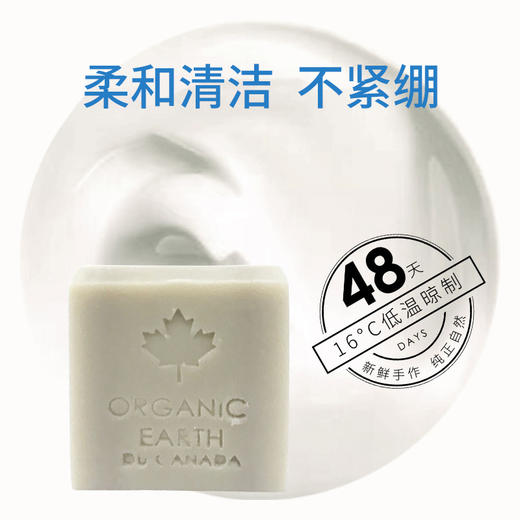 有机地球加拿大冰川泥冷法皂90g 商品图2