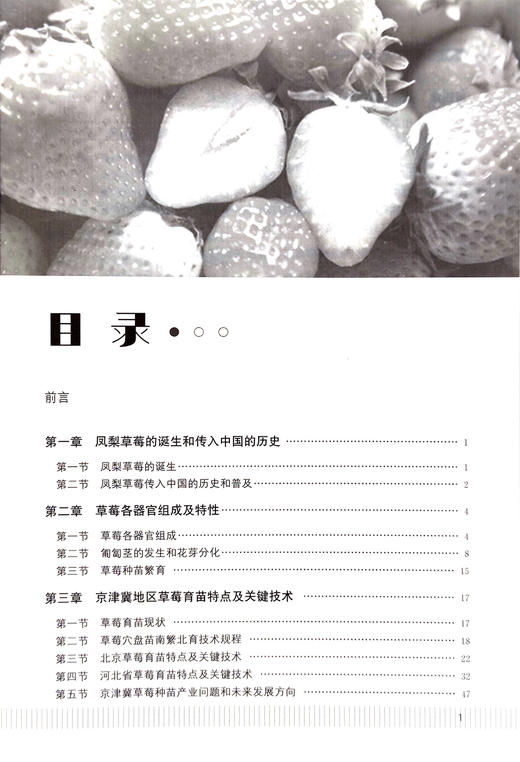草莓育苗的基本原理及关键技术【中国农业出版社官方正版，可开发票，下单时留开票信息和电子邮箱】 商品图2