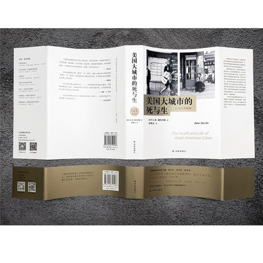美国大城市的死与生 商品图2