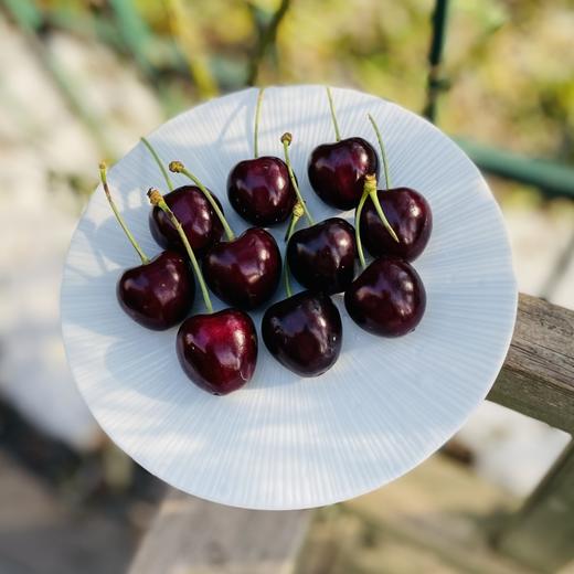 智利kordia黑钻2JDD，又黑又亮闪眼💎精致爱心，光滑黑亮，优雅细长杆儿，带小花，脆薄爆汁，醇厚黑汁，醉人的甜～😇😇真不愧最优品种，每年众多车厘子中较晚上市，产量仅占车厘子总产量的万分之一！ 商品图5