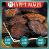 玉衡肉苁蓉 120g 罐装 内蒙古精选肉苁蓉 鲜干整根切片 泡茶泡酒煲汤 商品缩略图3
