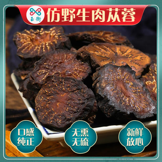 玉衡肉苁蓉 120g 罐装 内蒙古精选肉苁蓉 鲜干整根切片 泡茶泡酒煲汤 商品图3