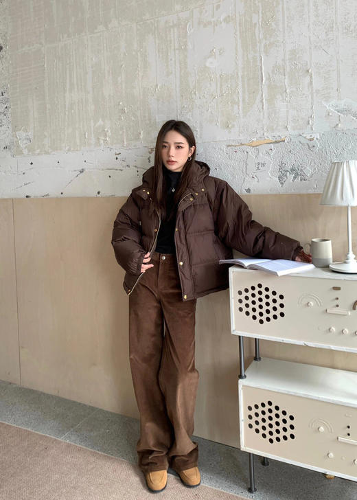 【高品质私服】【CL家同款可拆卸两穿羽绒服】绒朵蓬松而饱满，手感细柔，回弹性好，有活力感，清甜减龄【无标出货 介意慎拍】 商品图1