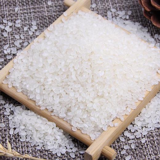 北纬45 东北大米 5kg/袋 商品图3